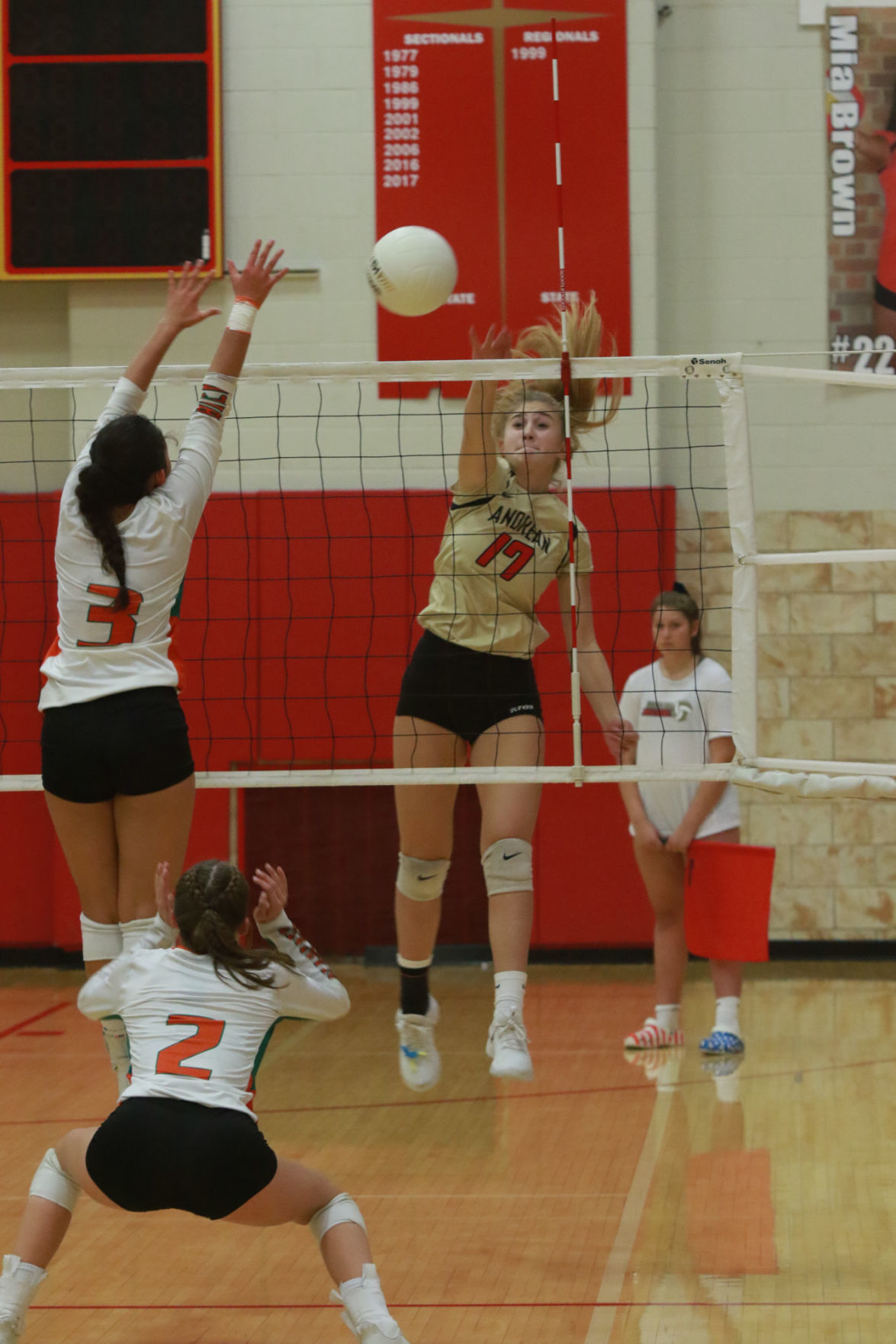 Gallery: Girls volleyball - Wheeler at Andrean